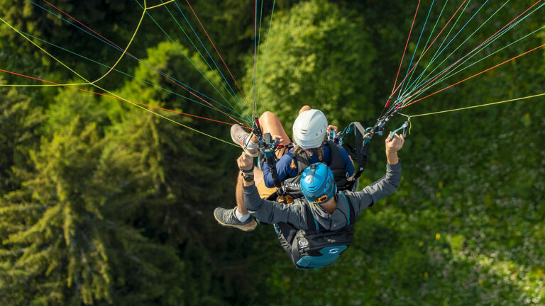 harness seen in flight