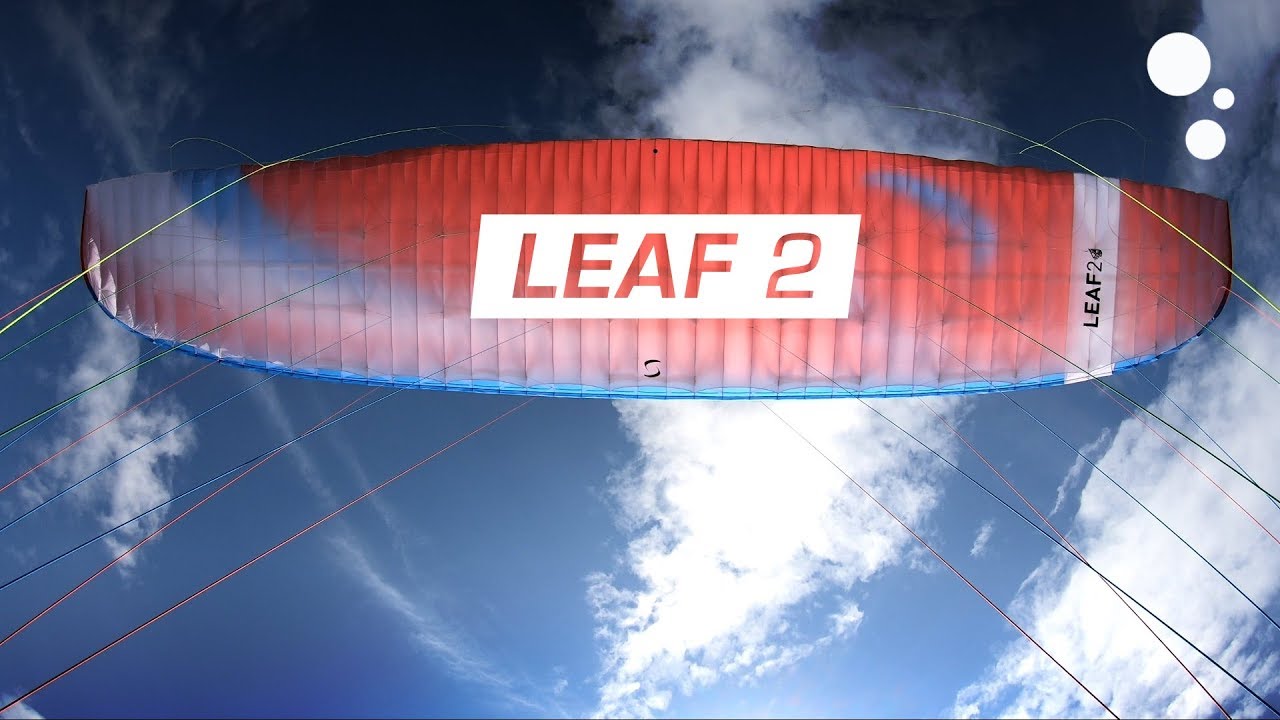 Miniatur Fly Bubble Test LEAF 2