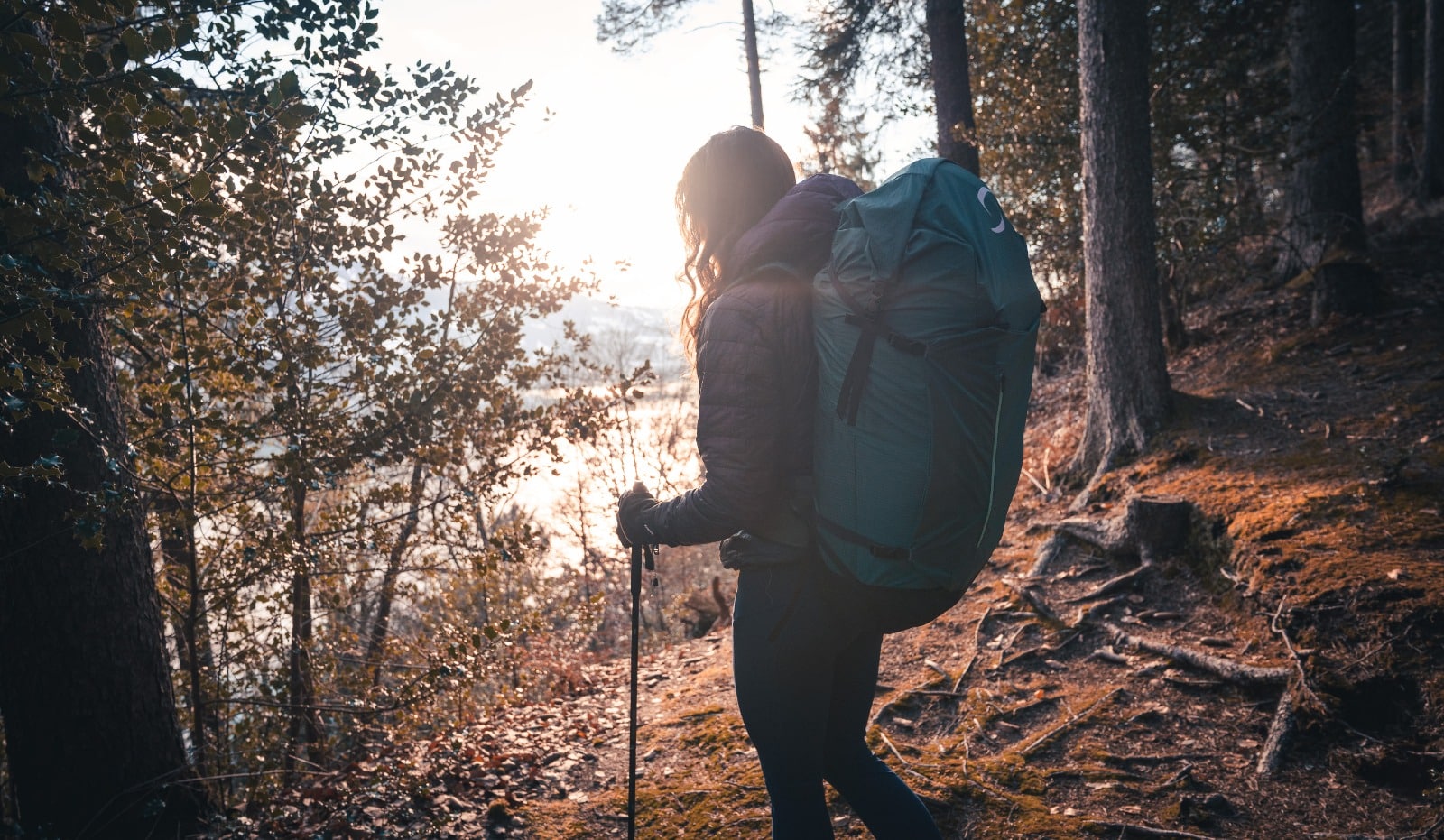 Radical4 und sein Modul Rucksack umkehrbar