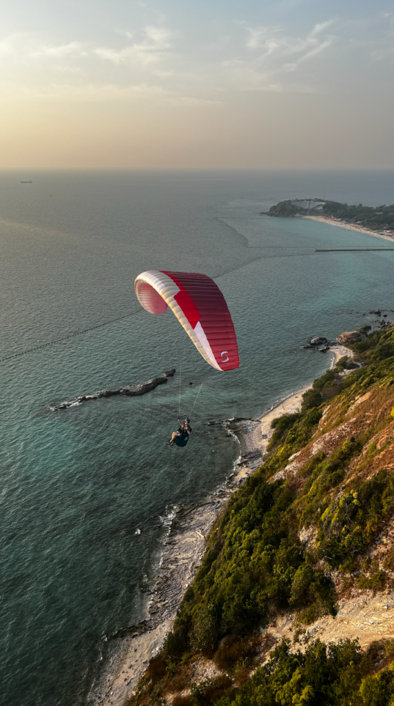 Nouvelle couleur birdy 2 spicy