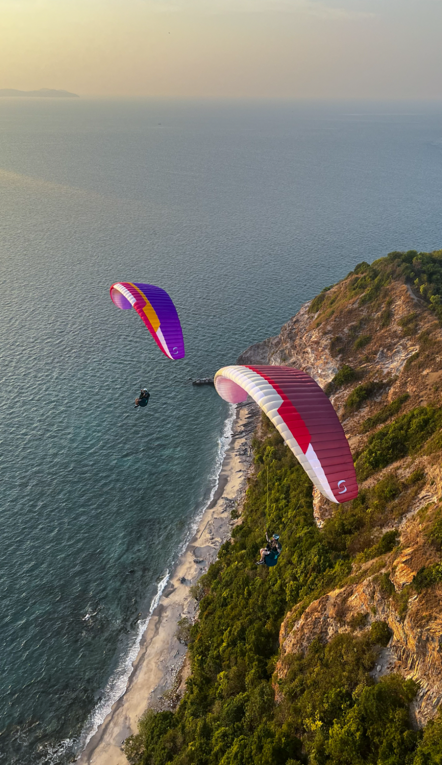 Nouvelle couleur birdy 2 spicy - Tailande