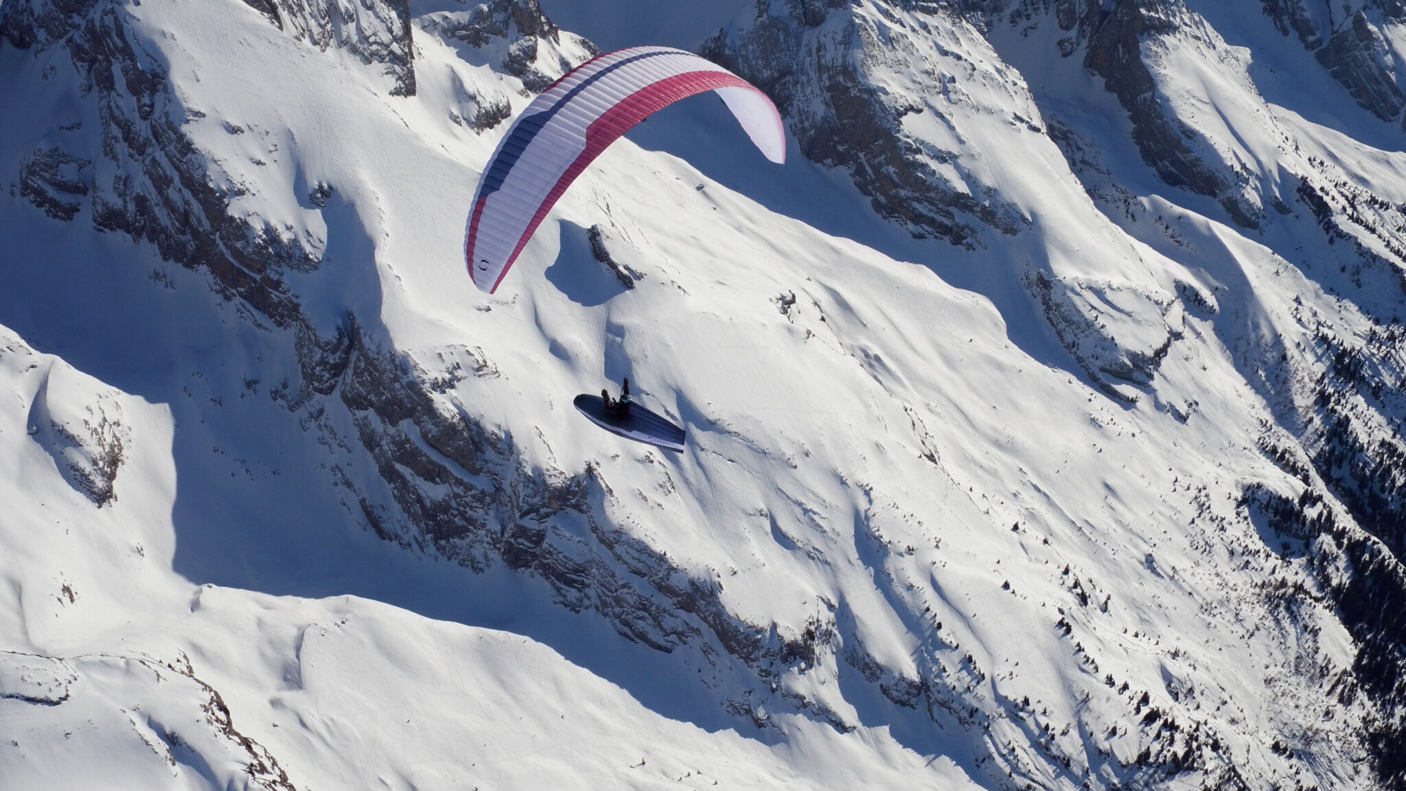 wild2 voile en d performance parapente supair